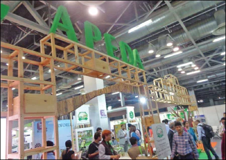 ‘‘உலக நாடுகள் செல்லும் இயற்கை விவசாயப் பாதை!’’ - கோலாகலமாக நடந்த சர்வதேச இயற்கை மாநாடு