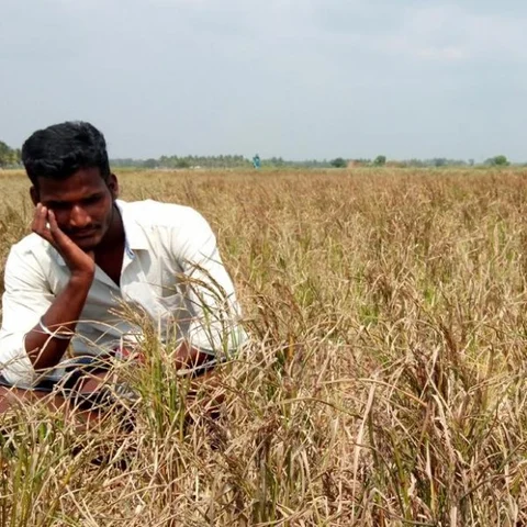 இன்று உலக உழவர்கள் தினமாம்... கொஞ்சம் விஸ்வாசத்தோடு இதை யோசிப்போமா?