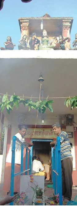 மகத்தான வரங்கள் தரும் மாமரம்!