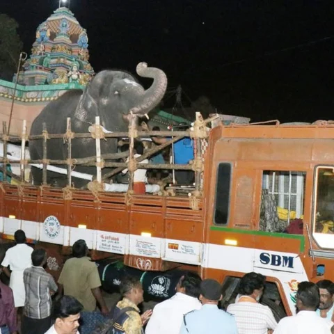 மூன்றாம் முறையாகப் புத்துணர்வு முகாமுக்குப் புறப்பட்ட ராமேஸ்வரம் ராமலட்சுமி!