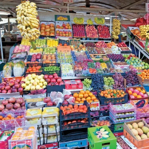 Agri Export for abundant income... Successful Strategies! Part 5