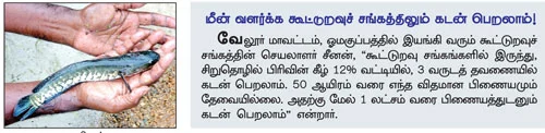 5 சென்ட் குளம்... 8 மாத காலம்... 1,25,000 லாபம்...