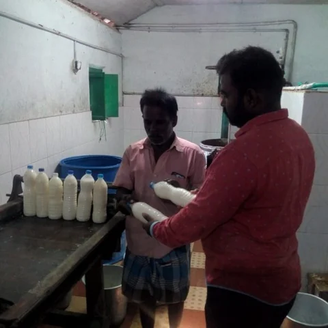 இங்கு யாரும் வாட்டர் பாட்டில் வாங்க மாட்டார்களாம்! - மோர் வாசம் மணக்கும் ஊத்துக்குளி #MyVikatan