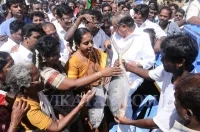 சென்னை தொடங்கப்பட்ட நடமாடும் ''Namo'' Fish கடை - ஆல்பம்