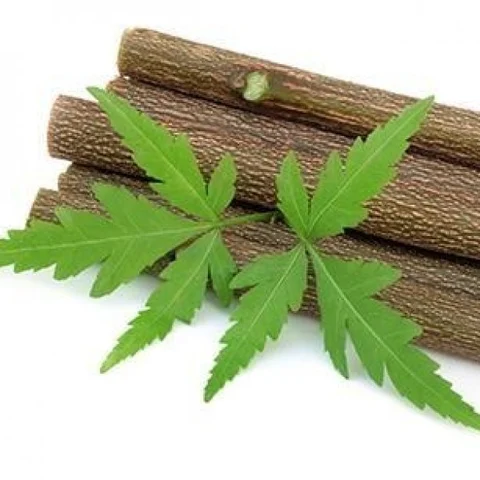 ஆல், வேல், பலா, நாயுருவி, வேம்பு, விளா... பற்களைக் காக்கும் இயற்கை பிரஷ்கள்!
