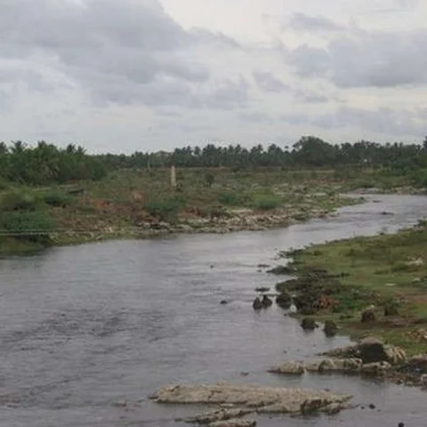 கரைபுரண்டு ஓடிய வெட்டாறு... மருதாணி வாசம்..! ஒரு வாசகரின் ஆடிப்பெருக்கு அனுபவம்