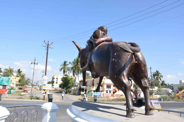 `தத்ரூபமாக நிறுவப்பட்ட வெண்கல காளை சிலையின் காது துண்டிப்பு!'- புதுக்கோட்டை அவலம்