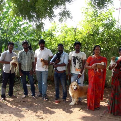 ``பாம்புக்கு வைத்தியம் பண்ணி வீட்ல வச்சிருந்தோம்!" - விலங்குகளை அரவணைக்கும் இளைஞர் படை