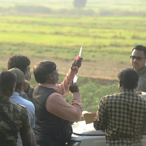 சின்னத்தம்பியை கூண்டில் அடைக்கும்போது என்னவெல்லாம் நடந்தது? - மருத்துவர் அசோகன்