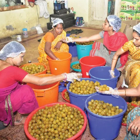 கொஞ்சம் ப்ளஸ்... நிறைய லாபம்! - தேனில் இன்னும் சில பொருள்கள்!