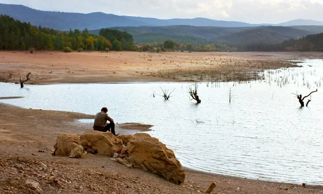 நீர் வற்றிய நிலத்தின் நெடுமரம் - சைலானின் The Wild Pear Tree ஒரு பார்வை #iffi2018