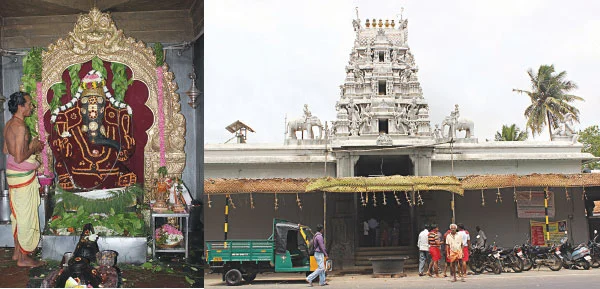 தங்கத் தேரில் பவனி வரும் ஈச்சனாரி விநாயகர்