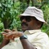 புலிகளை கொல்லாதீங்க!