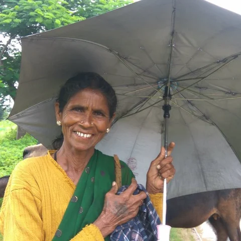 காடுகளில் வசிப்பவர்களைப் பாதிக்கிறதா தேசியக் காடுகளுக்கான வரைவுக் கொள்கை?