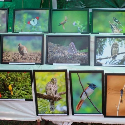 150 வகை பறவைகள்; 86 வகை பட்டாம்பூச்சிகள்... நம்புங்க, புதுச்சேரிலதான் இவ்வளவும் இருக்கு!