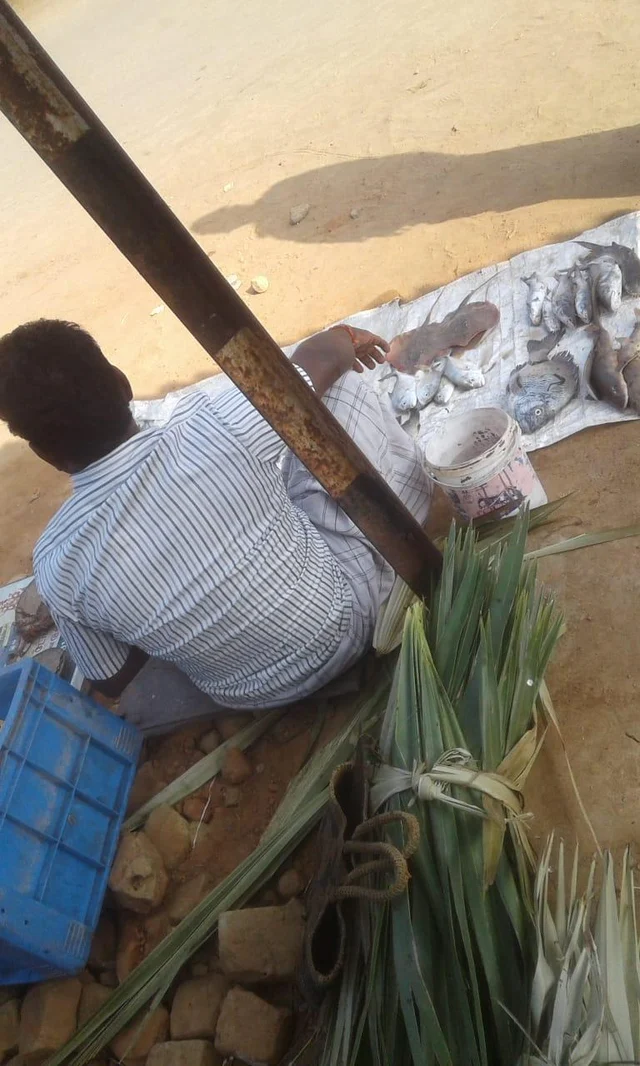 ``மீண்டும் பனை ஓலைக்கே மாறலாமே!’’ - எவர் க்ரீன் டெக்னிக்கை தூசிதட்டிய மீன் வியாபாரி