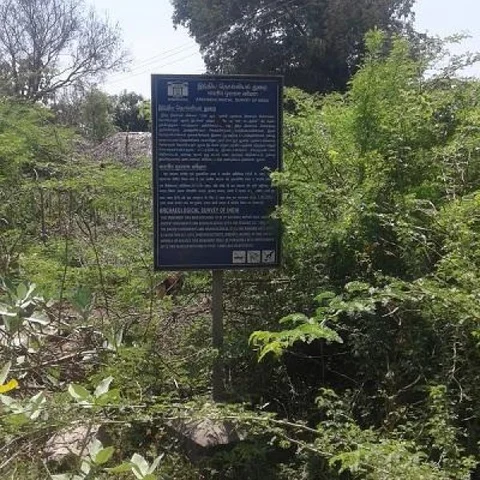 புதர் மேடாகிக் கிடக்கும் கம்பர் வாழ்ந்த `கம்பர் மேடு’ - அரசு நடவடிக்கை எடுக்குமா?