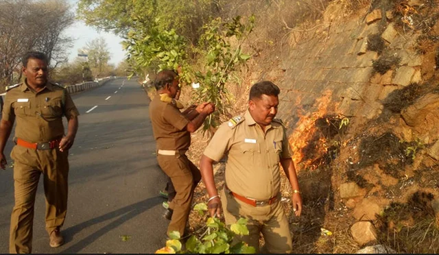 சிறிய ஏற்காடான ஏலகிரி மலைக்கு மர்ம நபர்கள் தீ வைப்பு- காடுகள் எரிந்து நாசம் !
