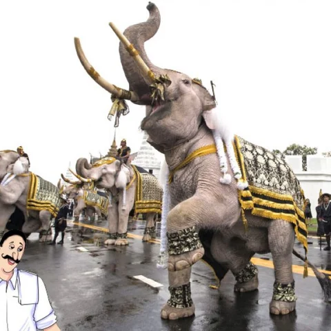 மண்புழு மன்னாரு: ‘உப்பு’ யானையும் வெள்ளை யானையும்!