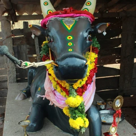 வளர்த்த காளைக்கு வீட்டிலேயே பிரமாண்ட சிலை - பாசம் காட்டும் குடும்பம்!