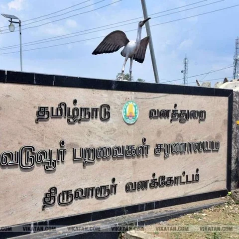 `சரணாலய ஏரியை தயவு செஞ்சு தூர்வாருங்க!’ - திருவாரூர் மக்கள் கோரிக்கை