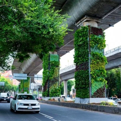 மெக்சிகோவின் நகரங்களைச் சுத்தப்படுத்துறது யார் தெரியுமா?