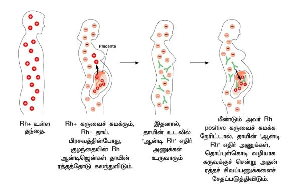 கல்யாணமாலை கொண்டாடும் வேளை..!
