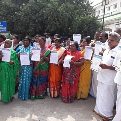 `பன்றிக்காய்ச்சல்னு சொல்லாதீங்க; H1N1 காய்ச்சல்னு சொல்லுங்க!' கோரிக்கை வைக்கும் சங்கம்