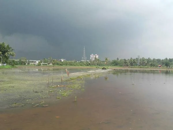 45 ஏக்கர் நிச்சயம்... 200 ஏக்கர் லட்சியம்... நஞ்சு நிலங்களை மீட்கும் 'அடையாளம்' குழு!