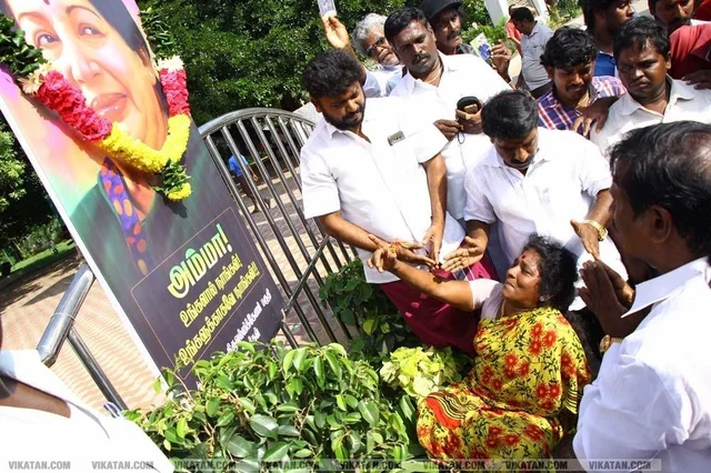 எம்.ஜி.ஆர் மறைவு; ஜெயலலிதா மறைவு - அ.தி.மு.க-வில் என்ன வேறுபாடு?