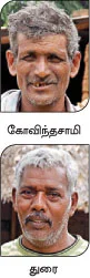 துரிஞ்சல் இலை மாடுகள்... நெகிழ வைக்கும் நாட்டுரகம் !