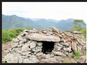 தமிழர் கூடு