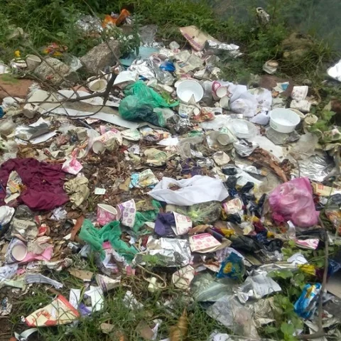 சுகாதாரமற்றுக்கிடக்கும் மதுரை ஆட்சியர் அலுவலகம்! - நடவடிக்கை எடுக்கப்படுமா?
