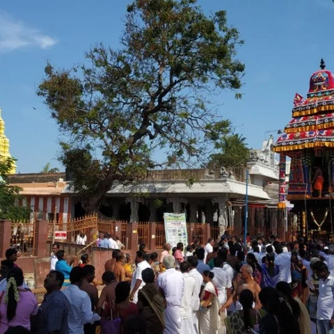 ராமேஸ்வரத்தில் மாசி மகா சிவராத்திரி -கோலாகலமாக நடைபெற்ற தேரோட்டத் திருவிழா