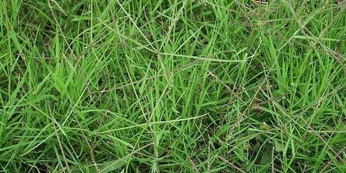உங்கள் வீட்டில் இருக்கா 15 மூலிகைகள்?