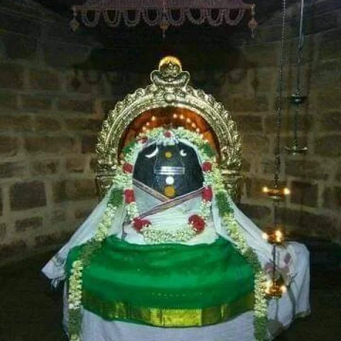 ஸ்ரீலோகநாயகி சமேத ஸ்ரீ சுயம்புநாத சுவாமி திருக்கல்யாணம்! - சித்திரை முதல் நாளில் கோலாகலம்