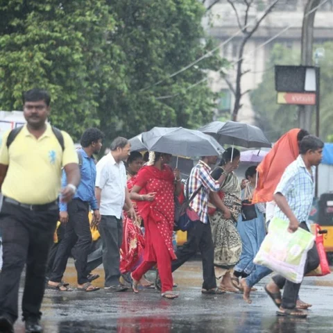தொடர் கனமழை: நாகை, திருவாரூர் பள்ளி, கல்லூரிகளுக்கு இன்று விடுமுறை!