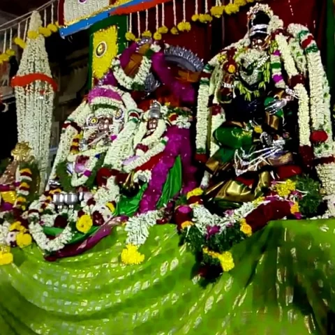 திருவாடானையில் சிநேகவல்லி அம்மனுக்கு திருக்கல்யாணம்!