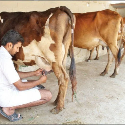 From farmer's land to vegetable market... Must know info about agri supply chain..! - Part 11