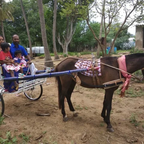 ``ஊருக்குள்ள போய்வர இப்பவும் குதிரை வண்டிதாங்க!" - இப்படியும் ஒரு வங்கி மேலாளர்