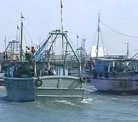 தூத்துக்குடியில் மீன் ஏற்றும் பணியில் ஈடுபட்டிருந்த வாலிபர் தவறிவிழுந்து பலி!