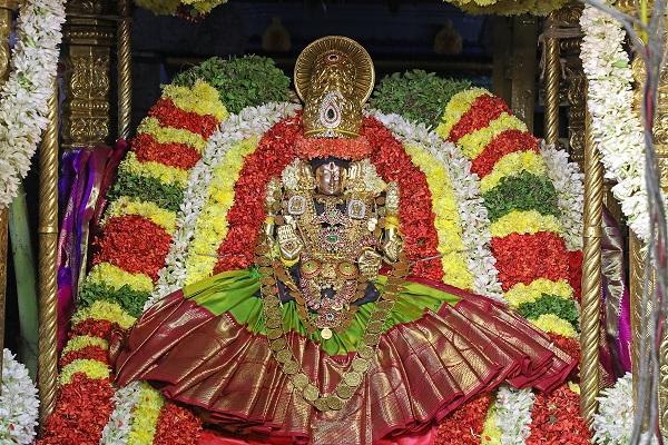 திருப்பதி திருச்சானூர் பத்மாவதி தாயார் பிரம்மோற்சவம்... 9-ம் தேதி கருட சேவை!