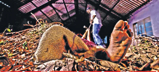 கூட்டணி முதல் குண்டர்கள் வரை: 6 நிமிட வாசிப்பில் ஜூ.வி.யின் 9 தெறிப்புகள்!