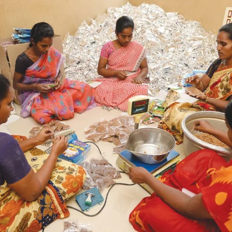 கொஞ்சம் ப்ளஸ்... நிறைய லாபம்! - பணம் காய்க்கும் பனை!