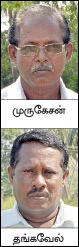 வறட்சியிலும் வளமான மகசூல்...நம்பிக்கை கொடுத்த நடவு துவரை...