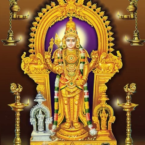 திருச்செந்தூரில் தைப்பூசம் - அதிகாலை 3 மணிக்கு நடை திறப்பு!