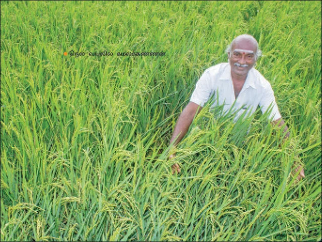 மகசூலும் லாபமும்: பசுமை விகடன் 13-ம் ஆண்டு சிறப்பிதழின் பலன்மிகு 13 அம்சங்கள்!