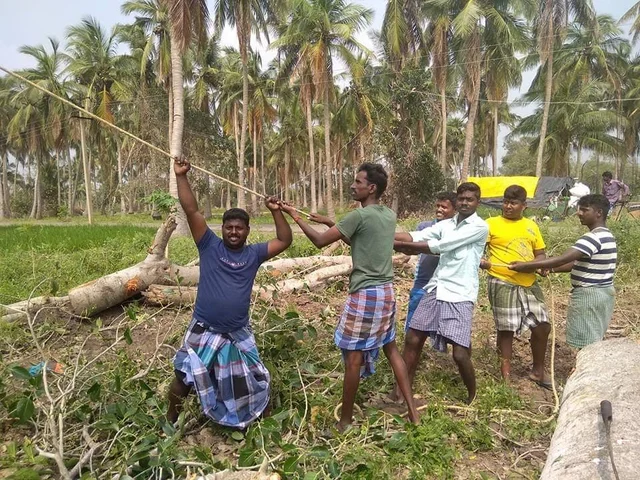 'எங்களின் அடையாளம் இது!'- கஜா புயலில் பாதிக்கப்பட்ட ஆலமரத்திற்கு உயிர்கொடுத்த இளைஞர்கள்