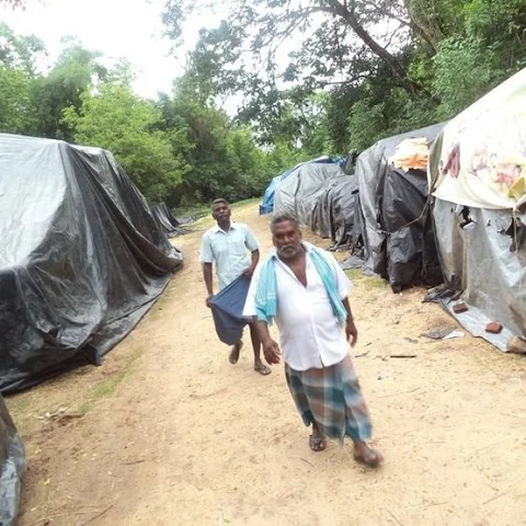 ``சாக்கு இல்லாததால கொள்முதல் பண்ண முடியாது!” - அலட்சியத்தால் வீணாகும் 1000 மூட்டை நெல்
