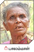 மூங்கில் அரிசி... இயற்கையின் அற்புதக் கொடை!